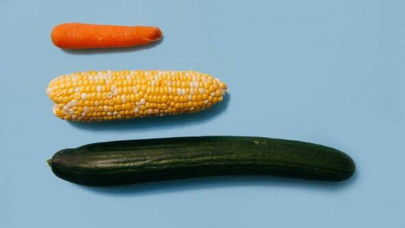 Diferentes tamaños dun membro masculino no exemplo das verduras